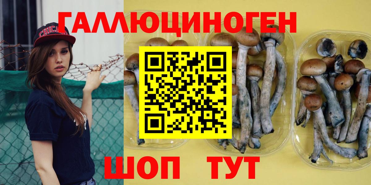 Галлюциногенные грибы Magic Shrooms Верхняя Пышма