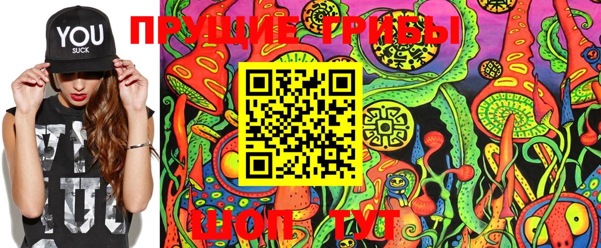 Верхняя Пышма  Псилоцибиновые грибы MAGIC MUSHROOMS  Вход с VPN 